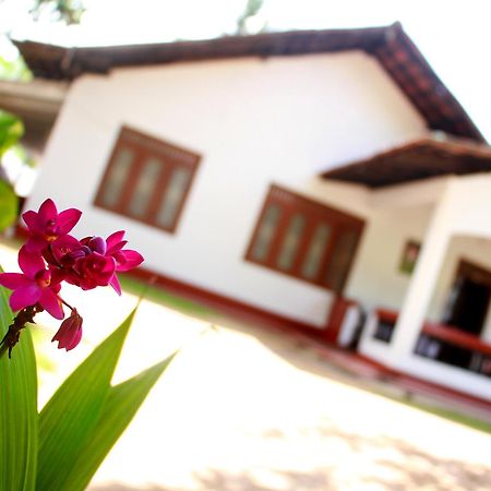 Aloha Mirissa Hostel Kültér fotó