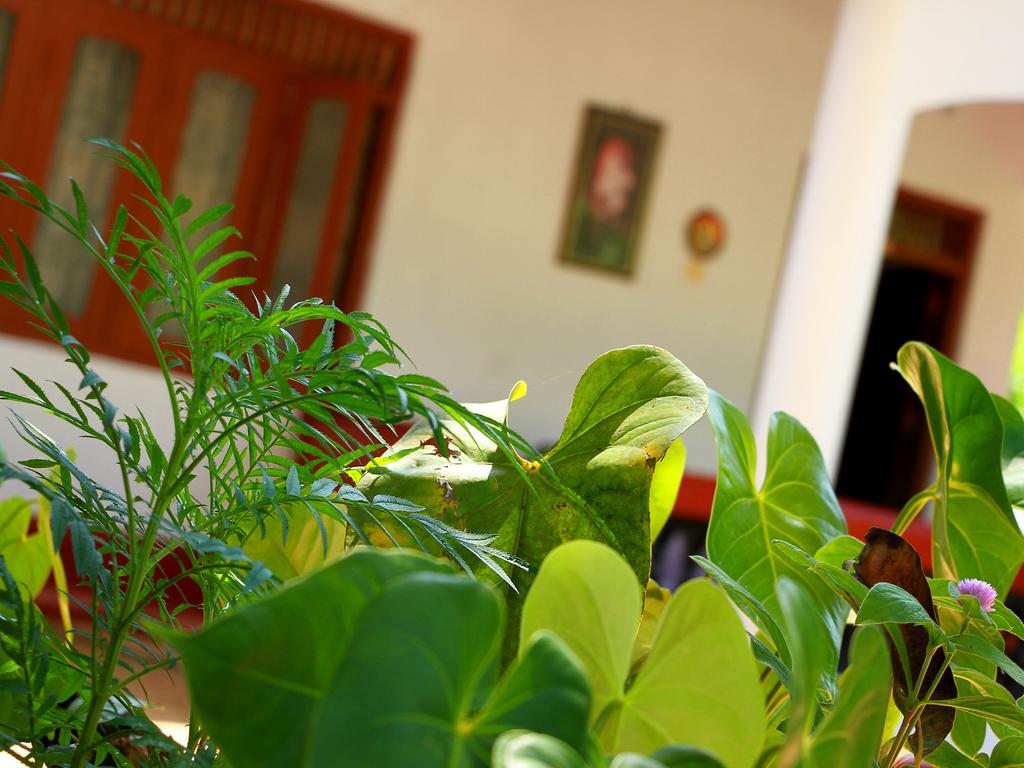 Aloha Mirissa Hostel Kültér fotó
