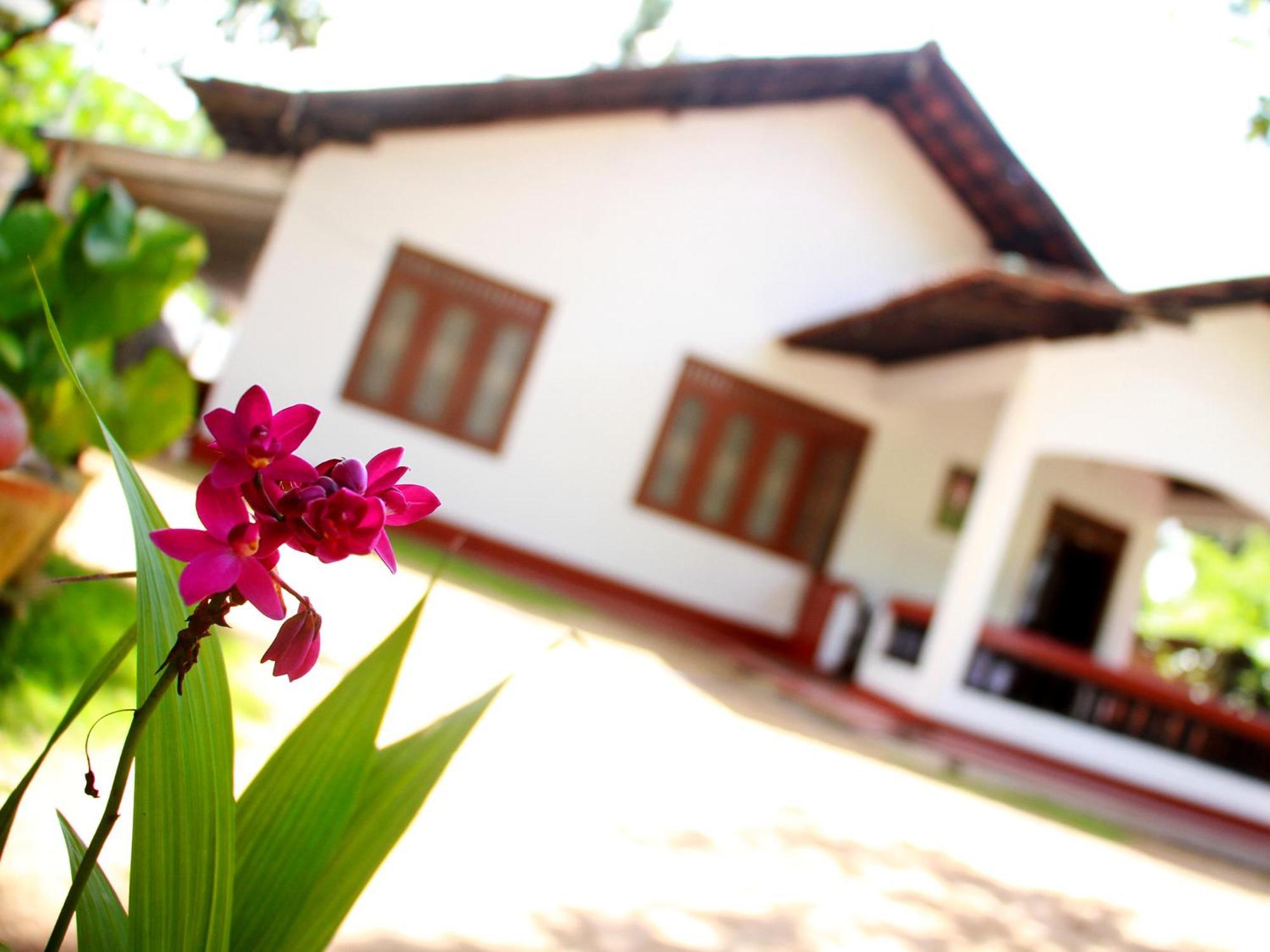 Aloha Mirissa Hostel Kültér fotó