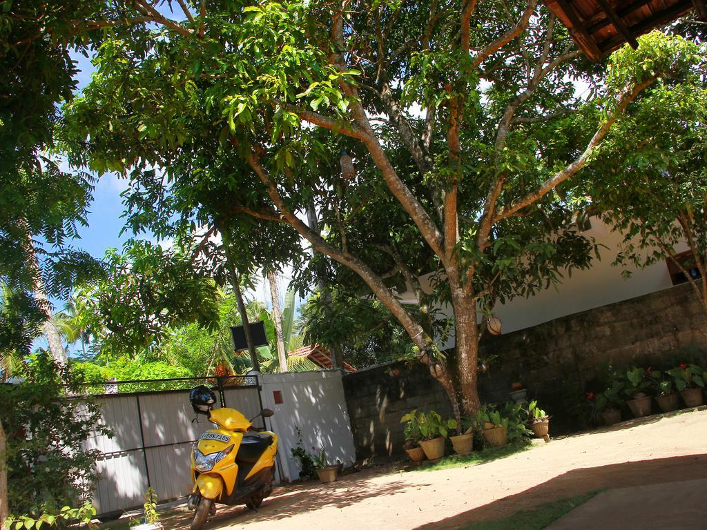 Aloha Mirissa Hostel Kültér fotó