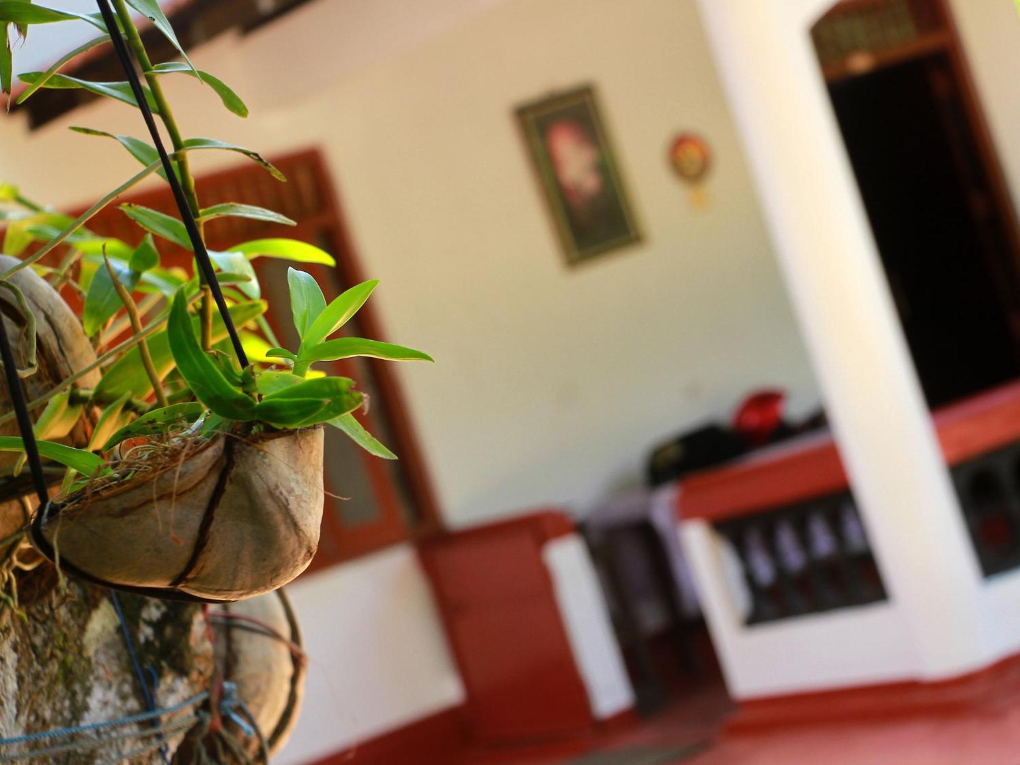 Aloha Mirissa Hostel Kültér fotó