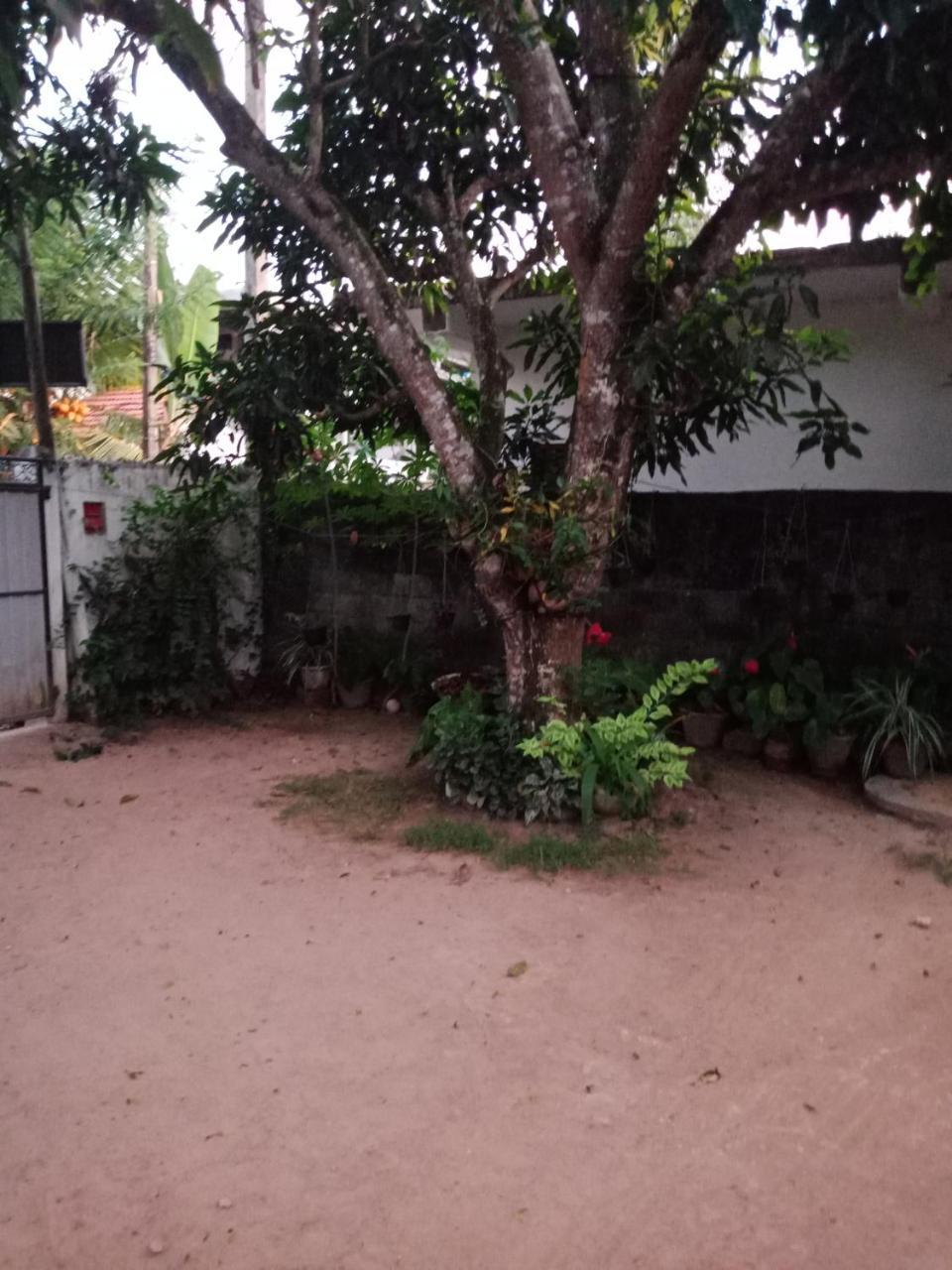 Aloha Mirissa Hostel Kültér fotó